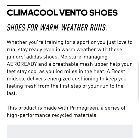 CLIMACOOL VENTO black running training SHOES
6.5